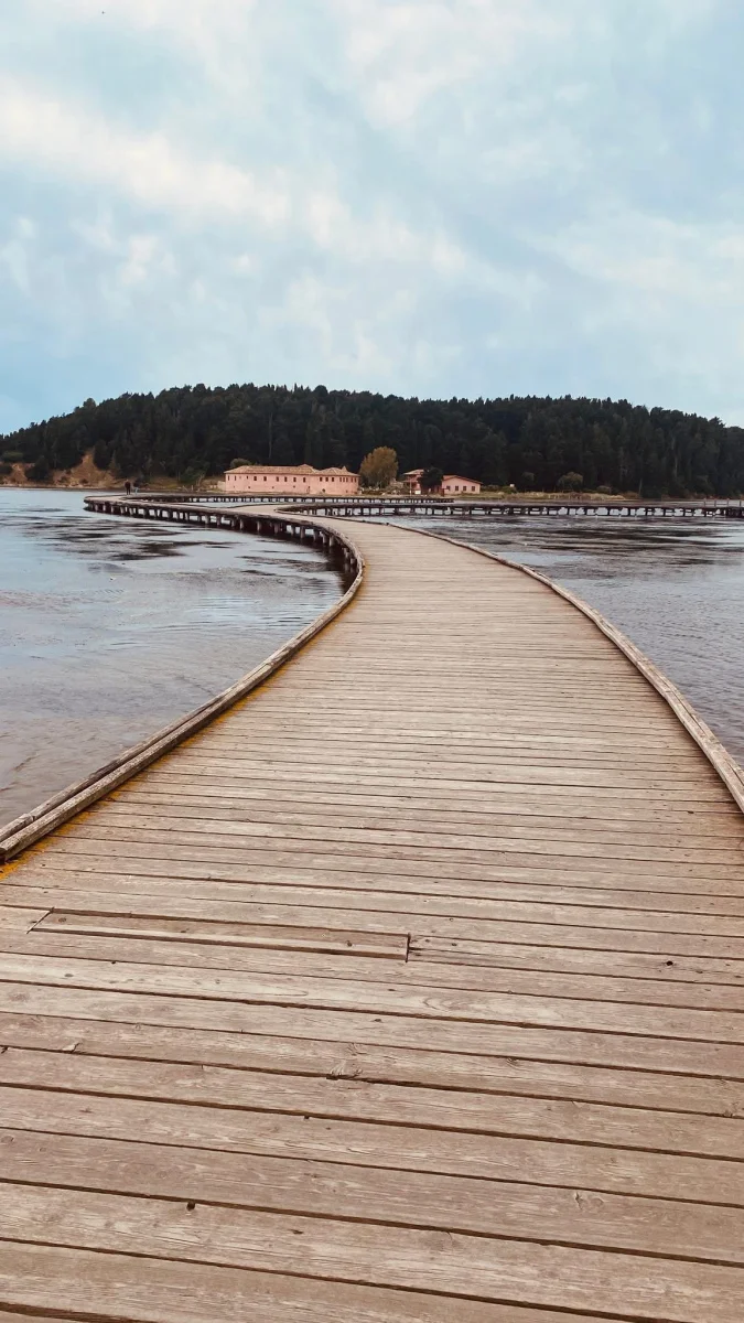 Gallery image for Zvernec, Apollonia & Berat Day Trip